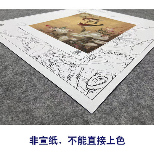 【大彩图】李晓明工笔画白描底稿《玉兰双雀》临摹勾线花鸟线稿K115 商品图2