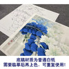 【大彩图】李晓明工笔画白描底稿斗方《绣眼白荆花》临摹勾线花鸟线稿K122 商品缩略图3