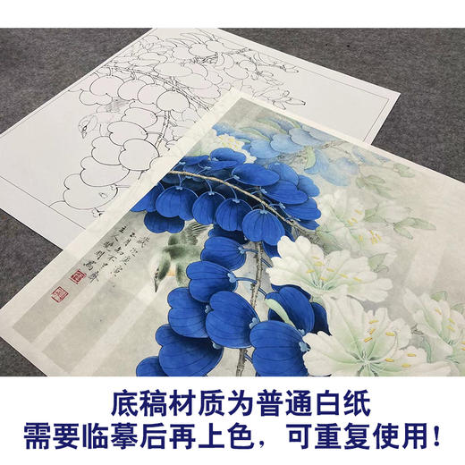 【大彩图】李晓明工笔画白描底稿斗方《绣眼白荆花》临摹勾线花鸟线稿K122 商品图3