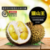 马来西亚液氮冷冻猫山王榴莲D197【2号果】【实物/礼券】 商品缩略图2