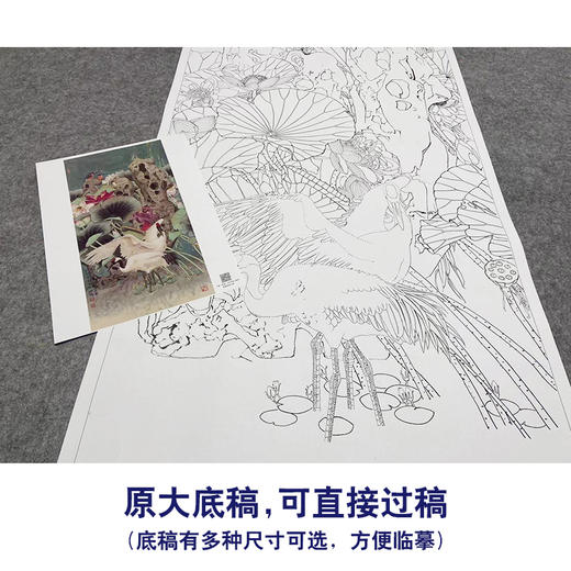 【大彩图】窦绅卿工笔画白描底稿《华堂益多图》白鹤临摹勾线花鸟线稿HN10 商品图1