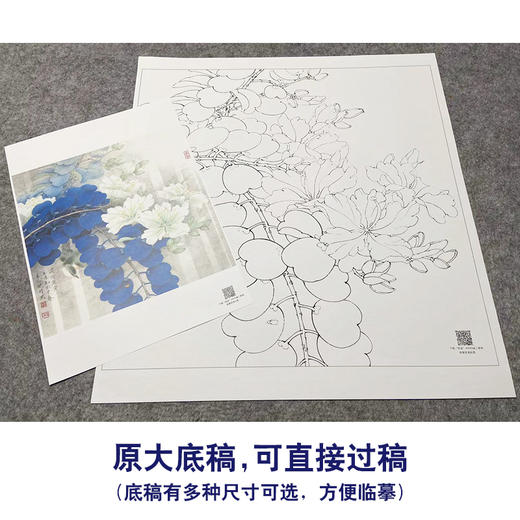 【大彩图】李晓明工笔画白描底稿斗方《绣眼白荆花》临摹勾线花鸟线稿K122 商品图1