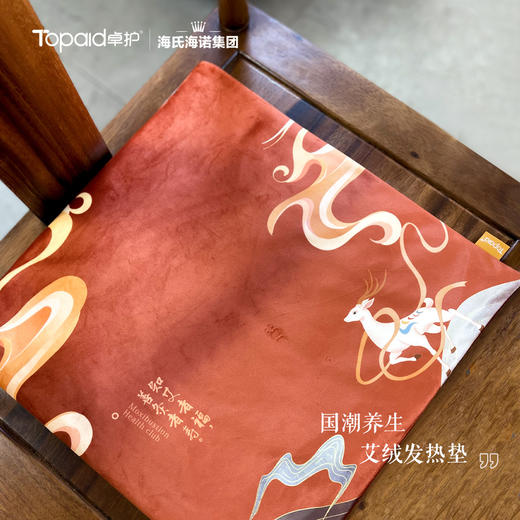 【应季好物】海氏海诺艾绒坐垫 商品图3