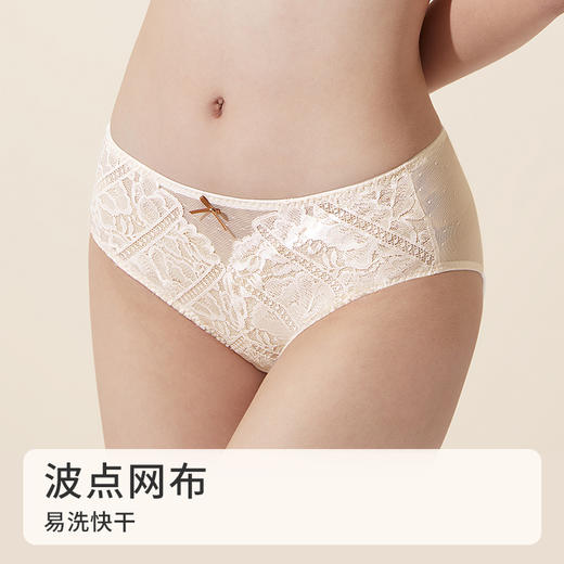 [贝壳杯内裤]性感拼接网纱易干亲肤透气纯棉里裆女士内裤 商品图2