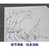 【大彩图】李晓明工笔画白描底稿斗方小品《八哥雪竹图》临摹勾线花鸟线稿K117 商品缩略图4