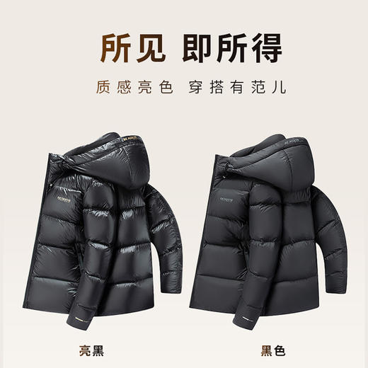 【黑金】圣得西连帽加厚亮面羽绒服冬季款时尚印花短外套男2362942756 商品图4