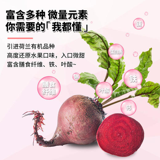 【红甜菜根粉】新鲜果蔬菜粉，即食便携，35g富含铁叶酸冲饮脱水新鲜果蔬菜粉代餐粉即食—DD健康 商品图3