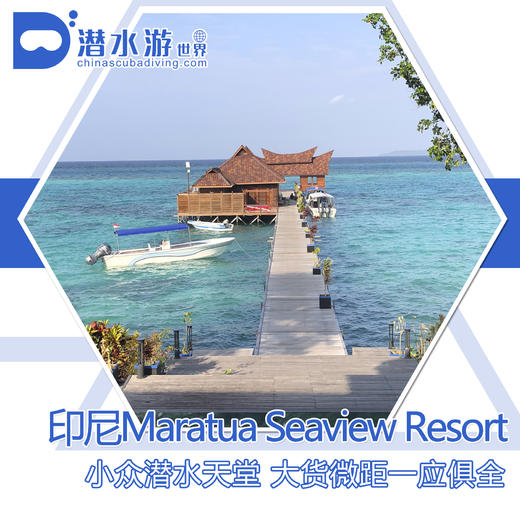 【度假村】印尼小众潜水天堂 Maratua Seaview Resort(2023.11) 商品图0