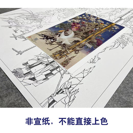 【大彩图】窦绅卿工笔画白描底稿《雅园春芳好》仙鹤临摹勾线花鸟线稿HN13 商品图2