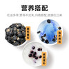 【汤色透亮！清新干冽】精选黑海黑枸杞，大果颗粒，肉厚饱满，经久耐泡，营养搭配，盒黑果枸杞青海满满花青素花草茶好吃 商品缩略图3