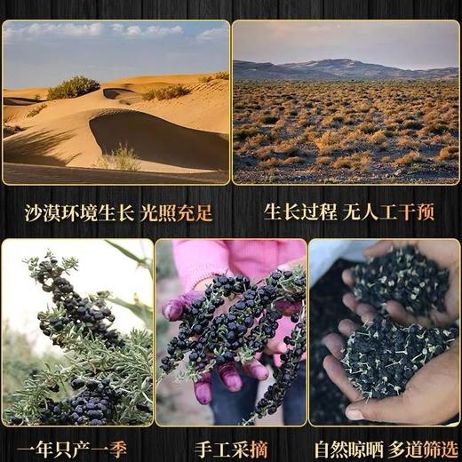 【富含花青素秒出色！黑枸杞大果罐装】好黑枸杞营养丰富，青海黑枸杞子特大果500g青海特产，精选罐装，健康好吃好吃 商品图4
