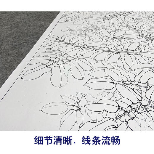 【大彩图】李晓明工笔画白描底稿《紫藤绶带图》临摹勾线花鸟线稿K123 商品图4