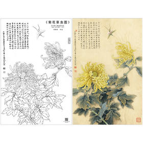 【大彩图】李晓明工笔画白描底稿《菊花草虫》临摹勾线花鸟线稿K120