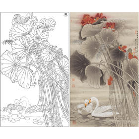 【大彩图】窦绅卿工笔画白描底稿《清露微风》荷花临摹勾线花鸟线稿HN12