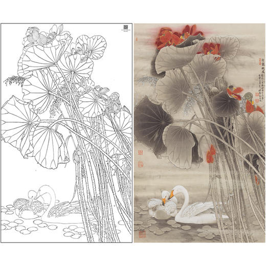 【大彩图】窦绅卿工笔画白描底稿《清露微风》荷花临摹勾线花鸟线稿HN12 商品图0