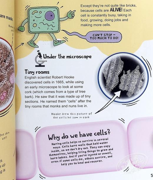 【中商原版】太喜欢科学了 微小科学系列 细胞 英文原版 Tiny Science Cells Anna Claybourne 科普 科学 商品图5
