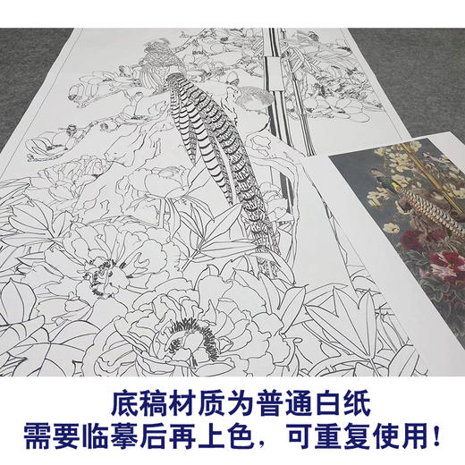 【大彩图】窦绅卿工笔画白描底稿《华堂益多图》锦鸡临摹勾线花鸟线稿HN07 商品图3