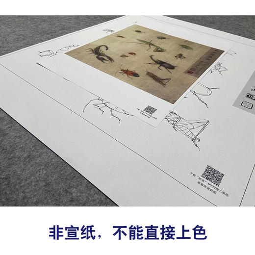 【大彩图】李晓明工笔画白描底稿斗方小品《草虫册页》临摹勾线花鸟线稿K119 商品图2