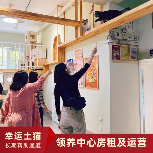 【幸运土猫】领养中心项目众筹通道｜定期发送电子刊，反馈项目工作进展 商品图11