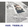 【大彩图】董希源工笔画白描底稿《松鹤朝阳》白鹤临摹勾线花鸟线稿HN06 商品缩略图2