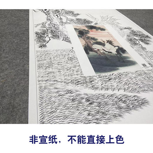 【大彩图】董希源工笔画白描底稿《松鹤朝阳》白鹤临摹勾线花鸟线稿HN06 商品图2