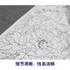 【大彩图】窦绅卿工笔画白描底稿《华堂益多图》锦鸡临摹勾线花鸟线稿HN07 商品缩略图4