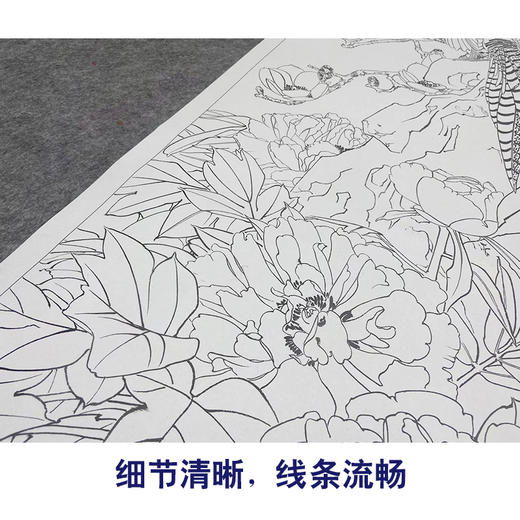 【大彩图】窦绅卿工笔画白描底稿《华堂益多图》锦鸡临摹勾线花鸟线稿HN07 商品图4