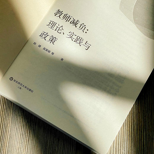 教师减负：理论、实践与政策 赵健 吴旻瑜等著 中小学教师减负 商品图7