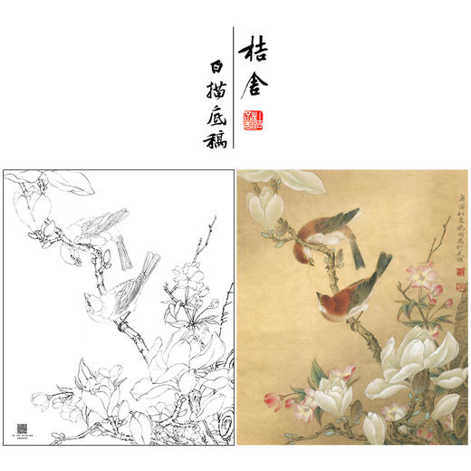 【大彩图】李晓明工笔画白描底稿《玉兰双雀》临摹勾线花鸟线稿K115 商品图0
