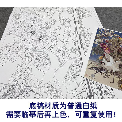 【大彩图】窦绅卿工笔画白描底稿《雅园春芳好》仙鹤临摹勾线花鸟线稿HN13 商品图3