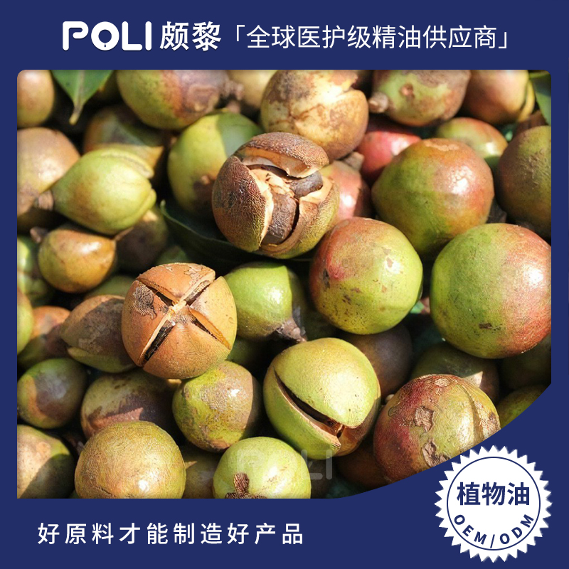 山茶籽油 精油原料批发灌装 颇黎POLI单方按摩精油