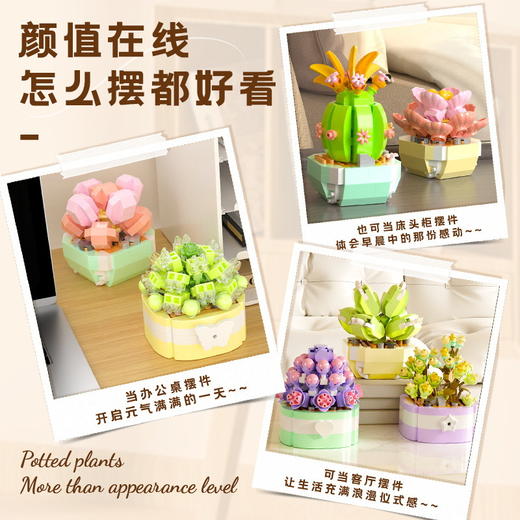 予高积木多肉合集-12款全套P1245 商品图3