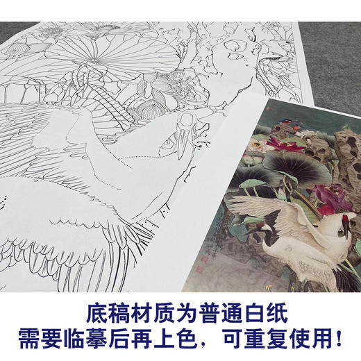 【大彩图】窦绅卿工笔画白描底稿《华堂益多图》白鹤临摹勾线花鸟线稿HN10 商品图3