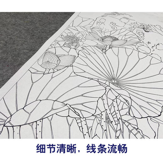 【大彩图】窦绅卿工笔画白描底稿《华堂益多图》白鹤临摹勾线花鸟线稿HN10 商品图4
