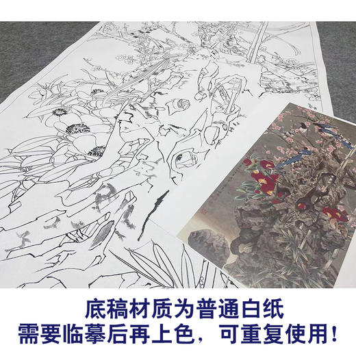 【大彩图】窦绅卿工笔画白描底稿《华堂益多图》山茶绶带鸟花鸟线稿HN08 商品图3