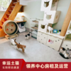 【幸运土猫】领养中心项目众筹通道｜定期发送电子刊，反馈项目工作进展 商品缩略图7