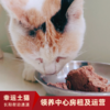 【幸运土猫】领养中心项目众筹通道｜定期发送电子刊，反馈项目工作进展 商品缩略图4