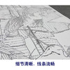 【大彩图】窦绅卿工笔画白描底稿《华堂益多图》芭蕉白鹭临摹勾线花鸟线稿HN09 商品缩略图4