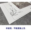 【大彩图】李晓明工笔画白描底稿小品《早春图》梅花临摹勾线花鸟线稿K114 商品缩略图2