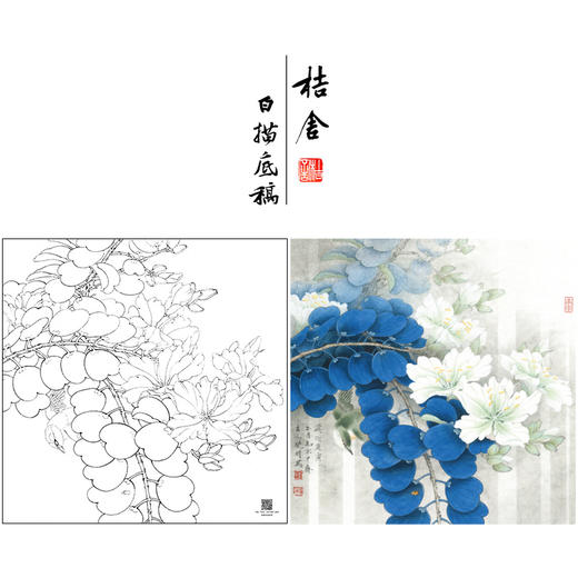 【大彩图】李晓明工笔画白描底稿斗方《绣眼白荆花》临摹勾线花鸟线稿K122 商品图0