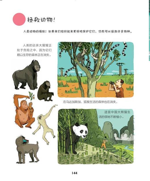 拉鲁斯儿童百科全书 法国拉鲁斯金牌科普读物，带孩子全面认知世界 商品图2