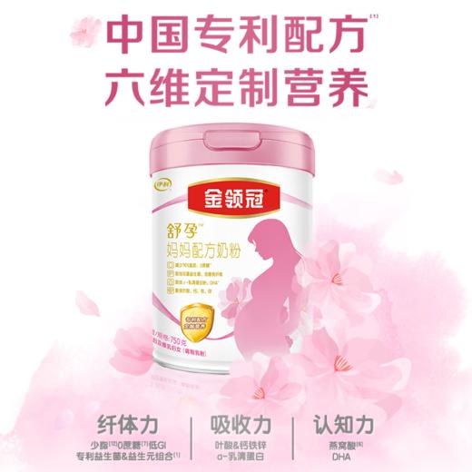 【积分兑换】伊利金领冠 妈妈定制配方 孕妇及授乳妇女适用 750g 商品图0