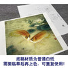 【大彩图】李晓明工笔画白描底稿《双鱼睡莲图》荷花鲤鱼临摹勾线花鸟线稿K116 商品缩略图3