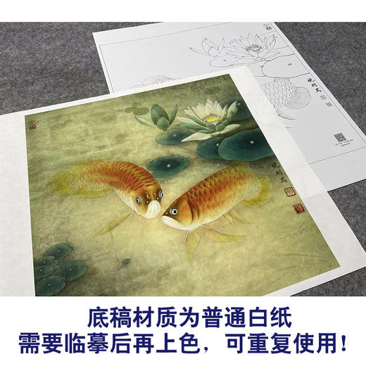 【大彩图】李晓明工笔画白描底稿《双鱼睡莲图》荷花鲤鱼临摹勾线花鸟线稿K116 商品图3