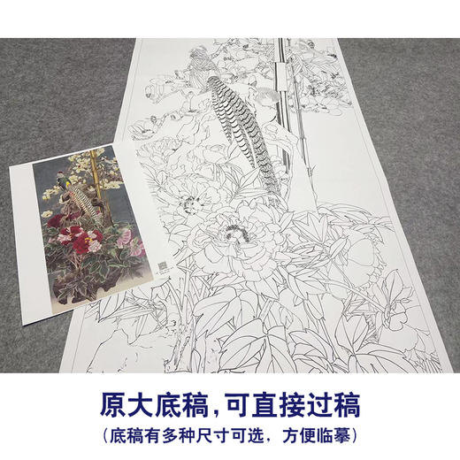 【大彩图】窦绅卿工笔画白描底稿《华堂益多图》锦鸡临摹勾线花鸟线稿HN07 商品图1