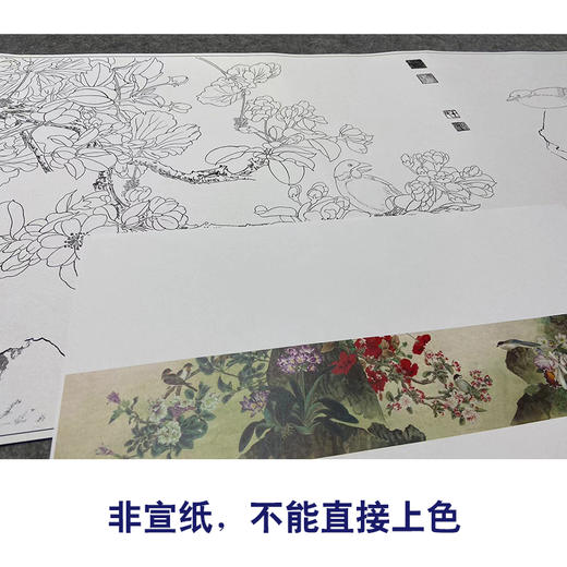 【大彩图】横幅工笔画长卷白描底稿临摹勾线花鸟线稿高清打印稿 HN05 商品图2