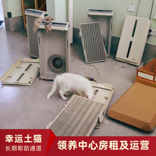 【幸运土猫】领养中心项目众筹通道｜定期发送电子刊，反馈项目工作进展 商品图13