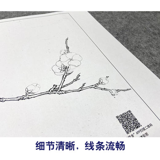 【大彩图】李晓明工笔画白描底稿小品《早春图》梅花临摹勾线花鸟线稿K114 商品图4