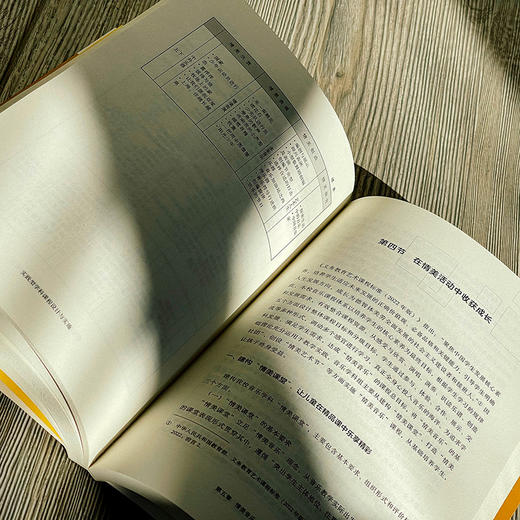 实践型学科课程设计与实施 陈文芳主编 课程治理新范式丛书 商品图7