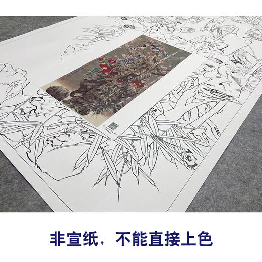 【大彩图】窦绅卿工笔画白描底稿《华堂益多图》山茶绶带鸟花鸟线稿HN08 商品图2
